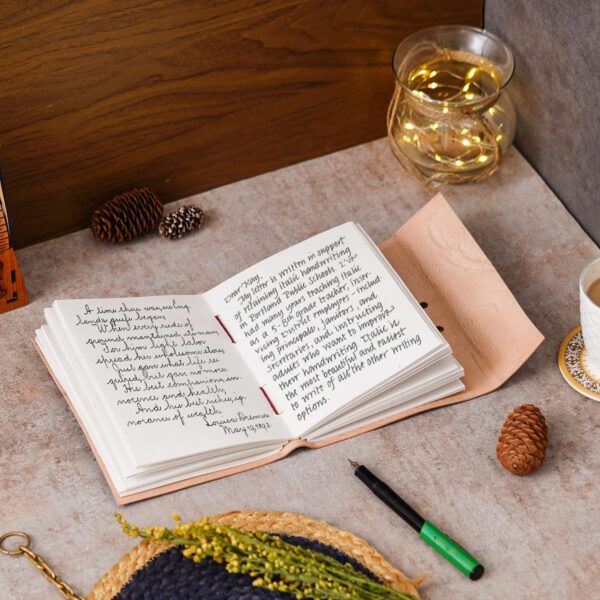 Diary - Image 4